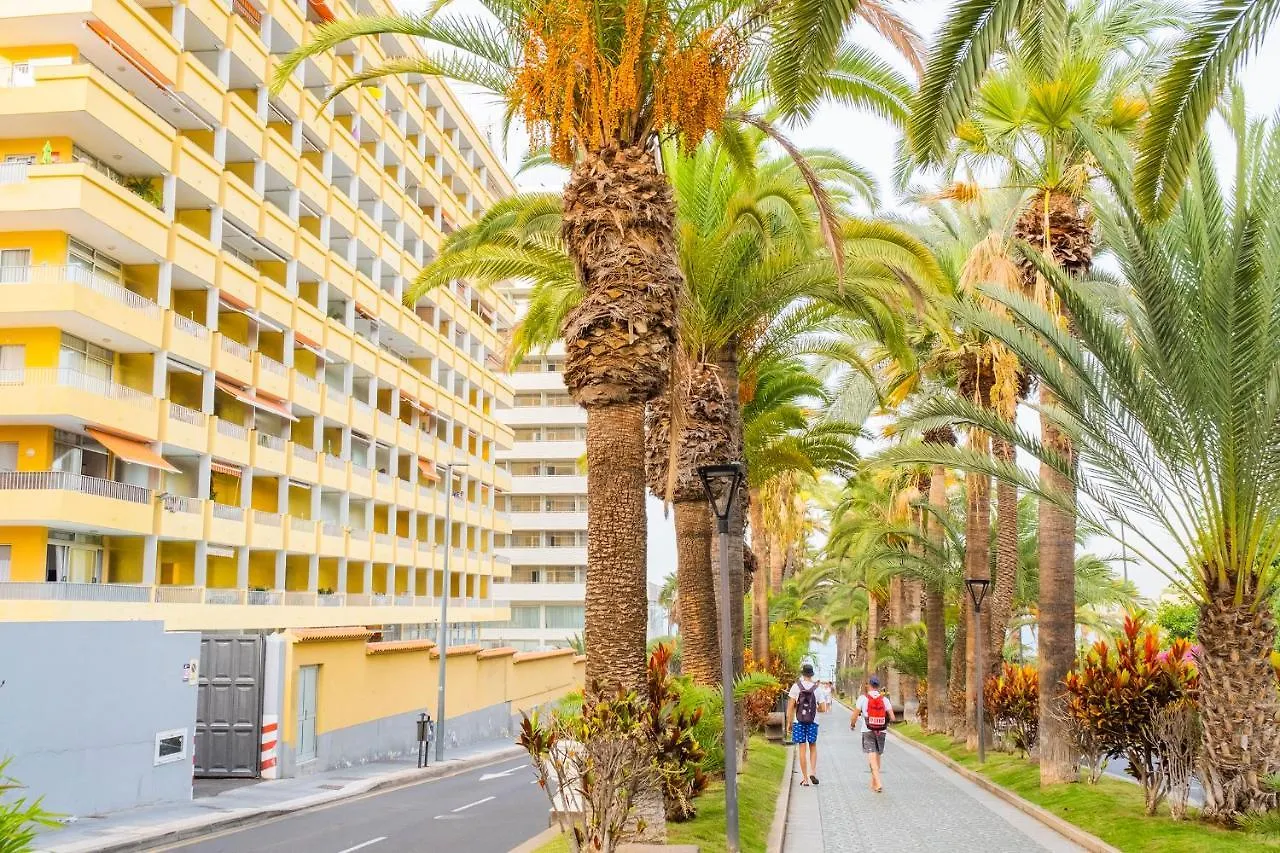Apartamento Live Puerto Las palmeras Puerto de la Cruz
